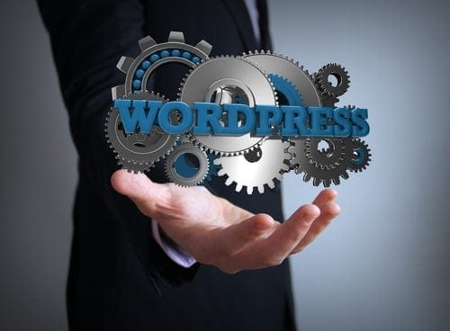 person holding wordpress logo and gears